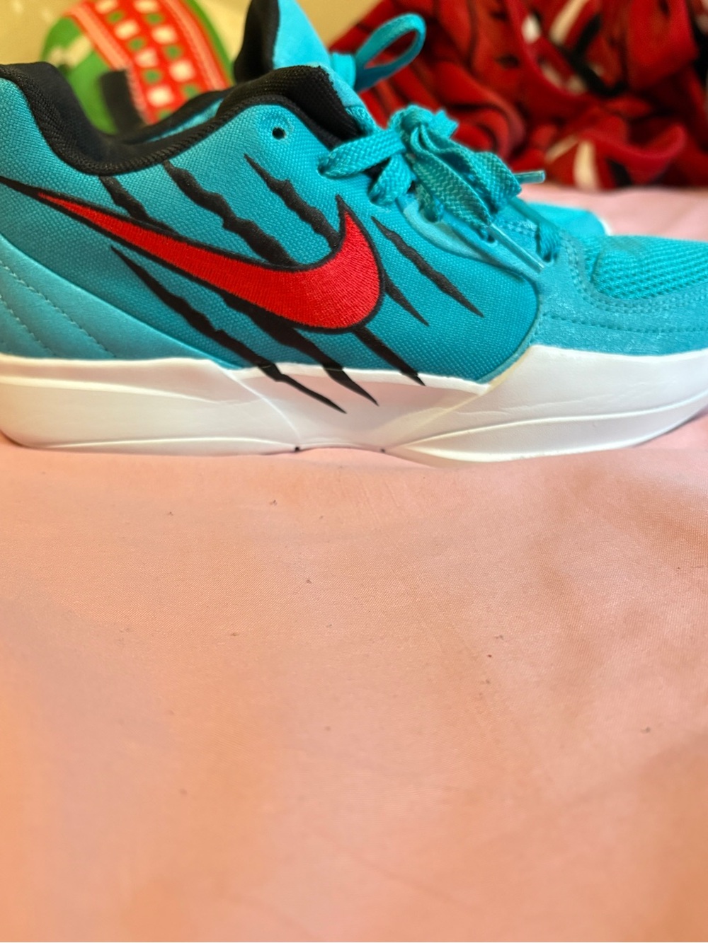 Nike Basketball shoes